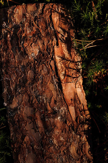 Lisa Kunst Fotografie - Harsman (57).jpg