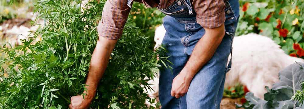 Gardening