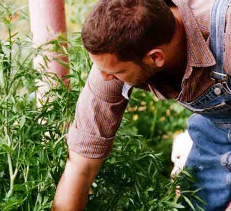 Gardening