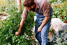 Gardening