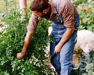 Gardening