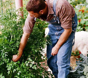 Gardening