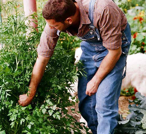 Gardening