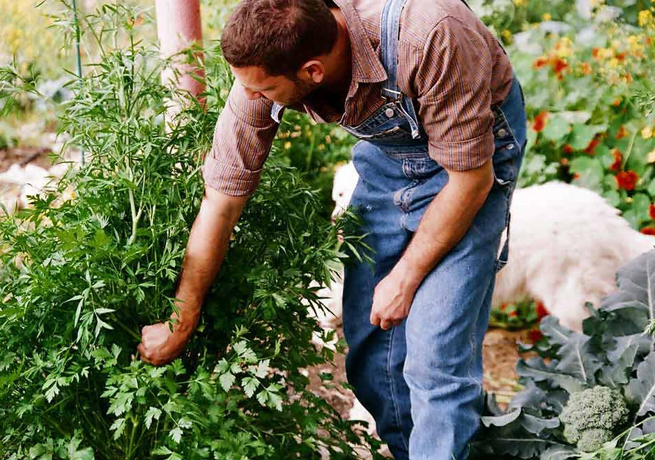 Gardening