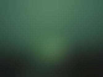 Matthew Edwards // Hark