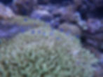 Port barton C image 7.jpg