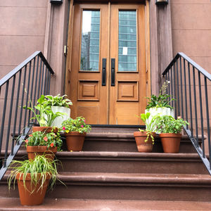 Fort Greene entrance and small roof deck