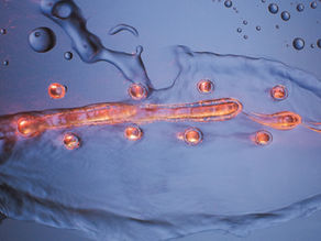 您知道什麼是矽凝膠嗎?