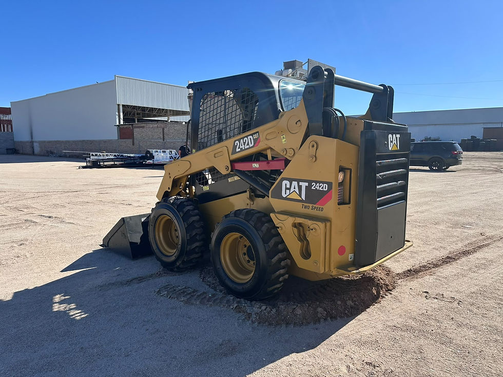 Miniatura: CATERPILLAR 242D