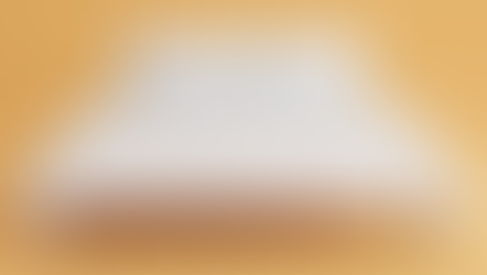 The New Denver Home Show