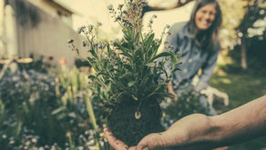 Colorado Garden & Home Show 2025