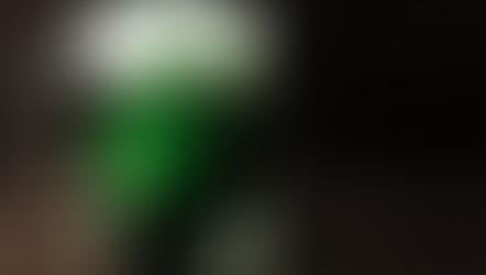 The Denver St. Patrick's Day Parade