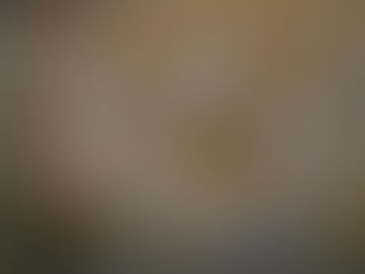 Apekatter på plyndringstokt