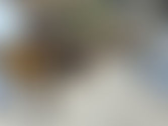 Eslene venter på turister