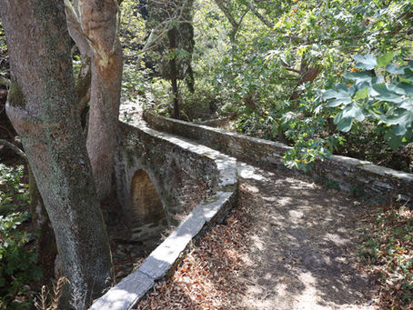 Andros - "den grønne øya"