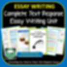 essay writing teacher resource image