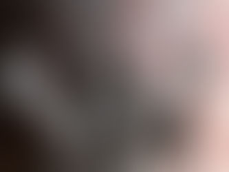 Newsletter #019
