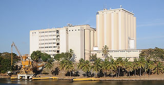 molinos dominicanos