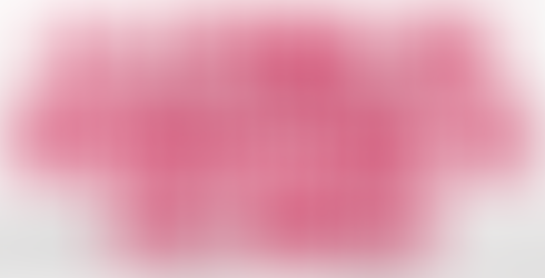 Newsletter #005