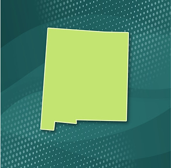 NM-100.jpg