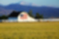 American Flag on Barn.jpg