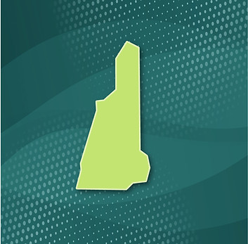 NH-100.jpg