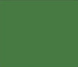 Green shipping container colour option