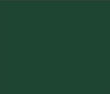 Dark green shipping container colour option