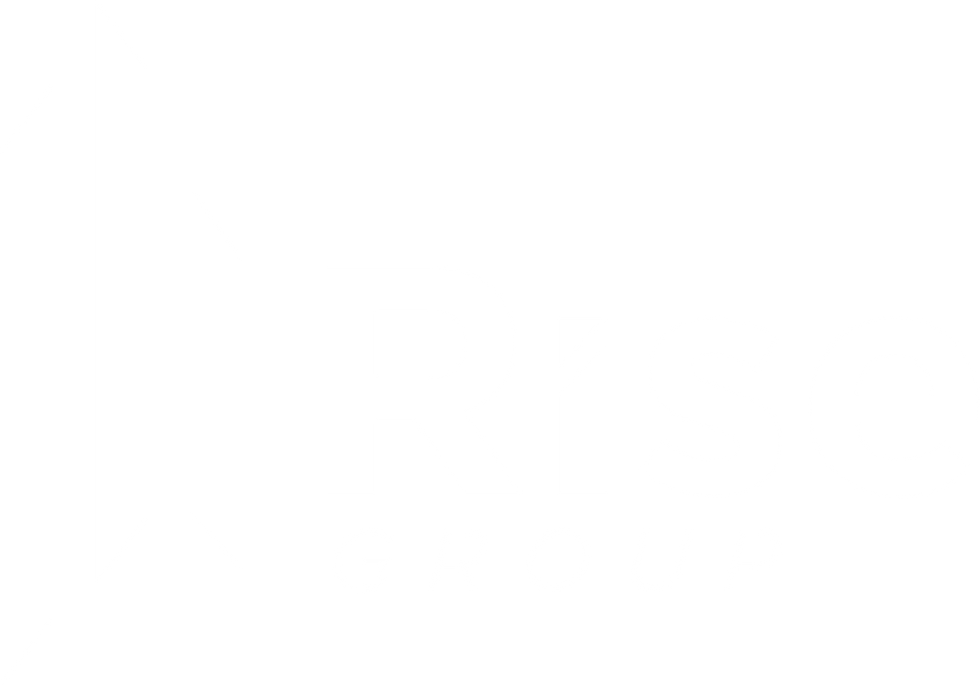 rise group  logo-03.png