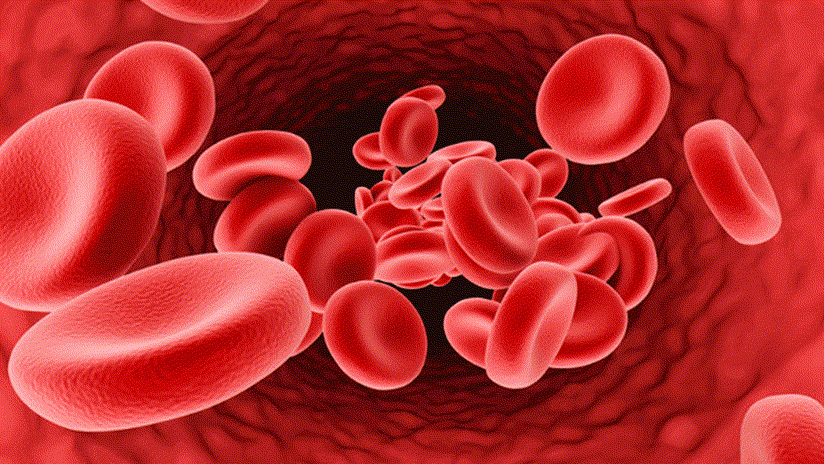 274212sangre-gifgif.gif