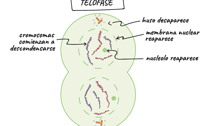 7adbc4c15bd985a20c159e1a5e2ad08e7b1a6094.png