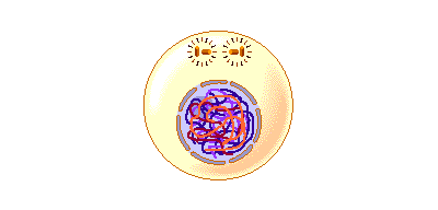 metpro1an.gif