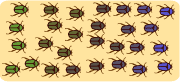 parapatric_beetles.gif