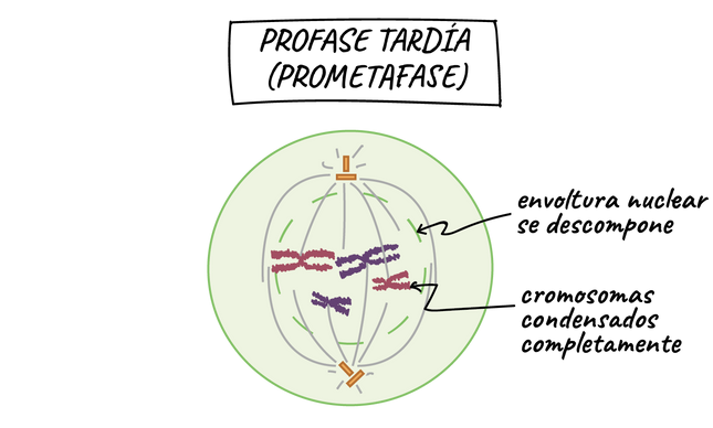 b792b2964c0e3fd01b8aa145ff1b15d7b43e157d.png