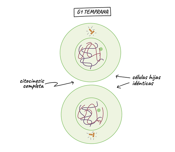 8ffe072c28ff9833aa747ce86e4441dcb02ea00f.png