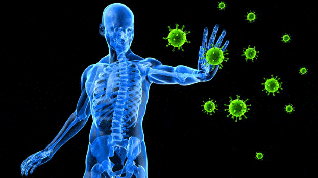 sistema-inmune-y-quiropractica-bqweb.gif