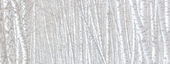 dreamstime_xxl_148060538_edited.jpg
