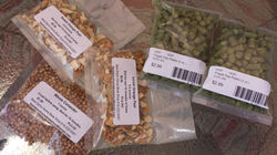 Golden Strong Brew Day