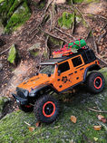 RC Crawler Wandern