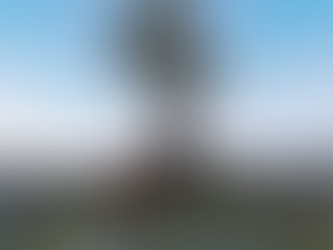 DISCOVERING THAT 3D IS LIMITLESS - ANTHONY JEGU