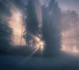 Integration healing and somatic grounding session by Wyrd Enchantress, available in Droitwich Spa, Worcestershire, and online worldwide.