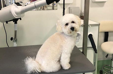 WhatsApp Image 2023-07-27 at 20.31.29 (8).jpeg