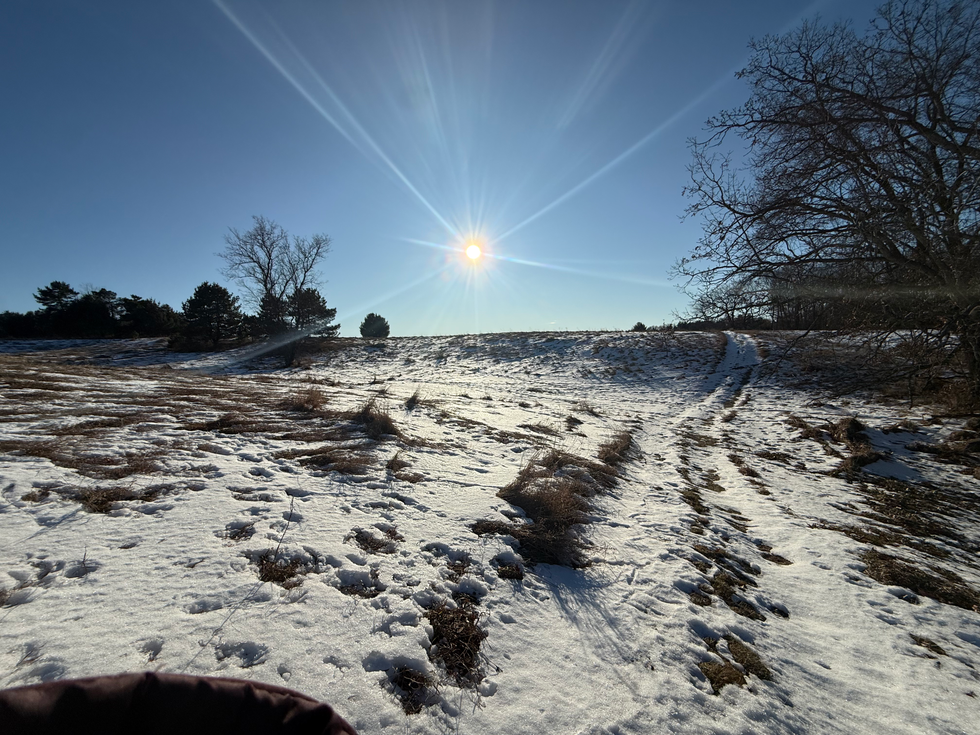 January 2026 - Winter Quiet