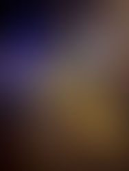 January 2025 - All's Quiet Here