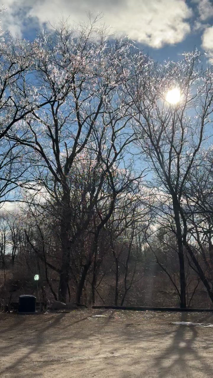 April - spring has sprung!