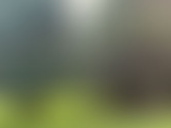 June 2025 - Where Did This Month Go?