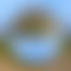 Lensball mit Gabelung gepflasterter Feldwege in Weinbergen, grüne Wiese mit Busch in der Mitte, unter blauem Himmel.