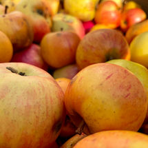 Nahaufnahme vieler roter Äpfel dicht nebeneinander liegend.