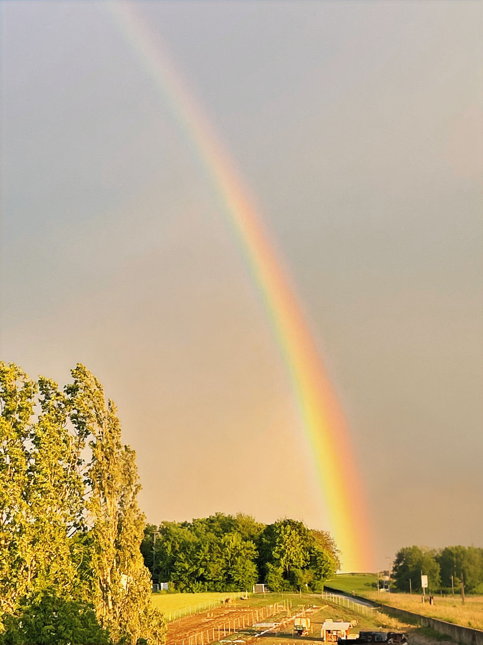 Regenbogen