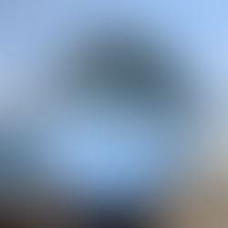 Lensball mit Spiegelung von Bergen, See und blauem Himmel in Luzern – Symbolbild für den Blick auf das große Ganze